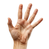 Hand Gesten auf ein transparent Hintergrund png