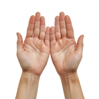 hand gestures on a transparent background png