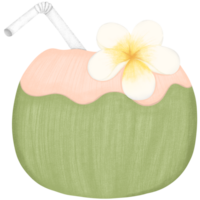 Coconut decorated with white frangipani flowers on transparent background png