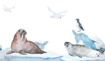 Seamless frame of banner with walrus, seal, guillemot and seagull watercolor illustration on ice , iceberg and blue sea on background. Horizontal format, for children wallpaper and room decor png
