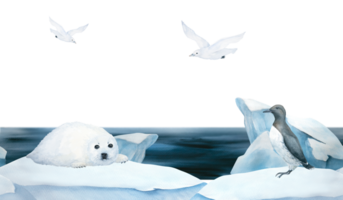 Seamless frame of banner with baby seal, guillemot and seagull watercolor illustration on ice , iceberg and blue sea on background. Horizontal format, for children wallpaper and room decor png