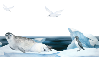 Seamless frame of banner with seal, guillemot and seagull watercolor illustration on ice , iceberg and blue sea on background. Horizontal format, for children wallpaper and room decor png