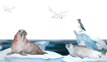 Seamless frame of banner with walrus, seal, guillemot and seagull watercolor illustration on ice , iceberg and blue sea on background. Horizontal format, for children wallpaper and room decor png