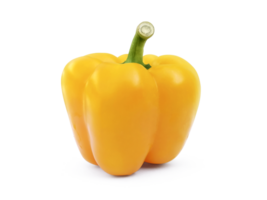 Yellow sweet pepper, transparent background png