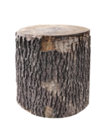 Wood log, transparent background png