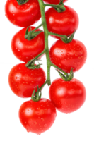 Cherry tomatoes with drops on branch. png