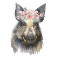 Watercolor hog animal print isolated. Hog illustration. png