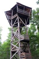 Wooden bird watching tower in Mangrove Forest in Thailand photo