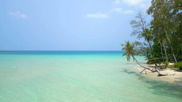 cristal clair turquoise mer sur paradis île dans Thaïlande. video