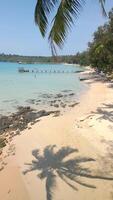 gens relaxant dans cristal clair turquoise mer sur une tropical plage, Thaïlande. video