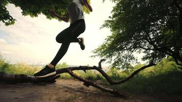 ragazza corre fra alberi, giovane ragazza salti al di sopra di un' albero ramo, giovane ragazza in esecuzione, atleta in esecuzione nel il boschi, ragazza in esecuzione sotto albero rami video