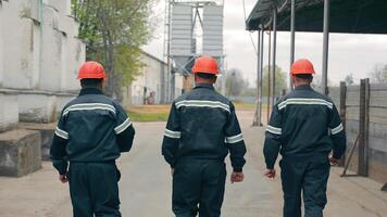 ingenieurs wandelen in de omgeving van de gebied en communiceren. achterzijde visie. medewerkers van de bedrijf in speciaal kleren en beschermend jassen inspecteren de gebied van de onderneming. video