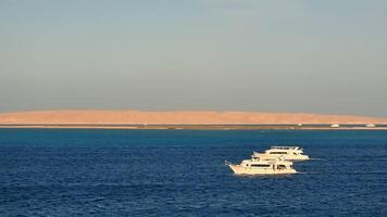 klein Tourist Yachten Segeln im das rot Meer in der Nähe von das Stadt von Hurghada. oben von das Rahmen zum Kopieren Raum Text video