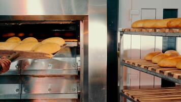 le boulanger prend Frais pain en dehors de le four et met il sur le étagère. cuisson pain video