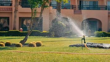 Automatic watering and irrigation of green grass in the park. Mandatory automatic watering of grass in hot climates. video