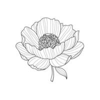 Black line drawing of stylized peony flower on white background. illustration. Element for design in line art style for greeting card, wedding invitation, coloring book. vector