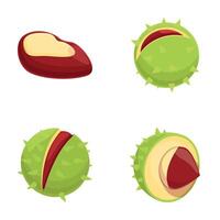 Fresh chestnut icons set cartoon . Chestnut with leaf and spiky shell vector