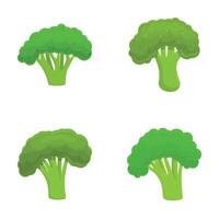 Fresh broccoli icons set cartoon . Green broccoli cabbage on stalk vector