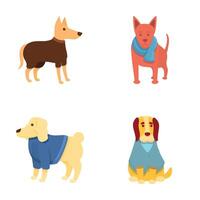 Cute dog icons set cartoon . Different breed of dog in colorful clothing vector