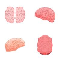 cerebro íconos conjunto dibujos animados . izquierda y Derecha hemisferio de humano cerebro vector