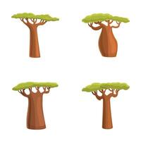 Baobab tree icons set cartoon . Green african baobab tree vector