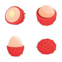 Red rambutan icons set cartoon . Whole and half of fresh tropical fruit vector