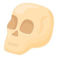 Alchemist skull icon cartoon . Lab element vector