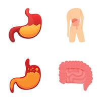 gastrointestinal sistema íconos conjunto dibujos animados . humano digestivo sistema anatomía vector