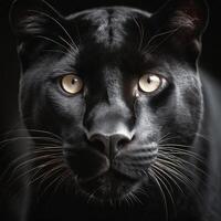 photography of closeup black panther looking to camera photo