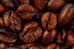 Roasted coffee beans, needle roast, Cafe and coffee shop concept photo