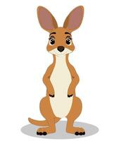 Kangaroo front view cartoon character design vector