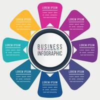 Infographic design 8 steps or options business information colorful template vector