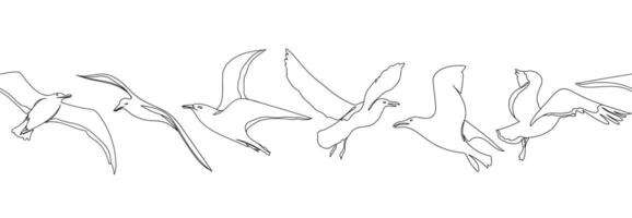 One line seagull hand drawn seamless border. Outline seagull flying. Hand drawn minimalist style illustration. Beautiful sea life design. vector