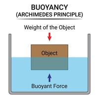 Buoyant Force and Weight of the Object vector