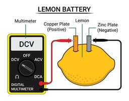 Measure the Lemon Battery Voltage Using a Multimeter vector