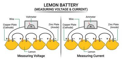 medida el voltaje y eléctrico Actual de el limón batería vector