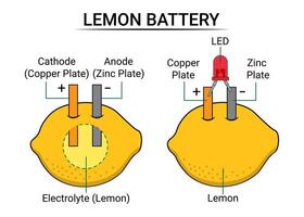 partes de un limón batería vector