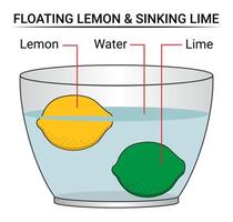 Floating Lemon and Sinking Lime vector