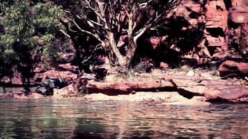 landscape with red sandstone rock and river video