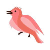 linda pájaro. dibujos animados bosque animal. ilustración. vector