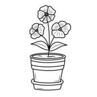 Indoor home plant with flowers in a pot. Line art doodle houseplant. Coloring book for kids. vector