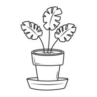 Monstera leaves in a pot. Line art doodle houseplant. Coloring book for kids. vector