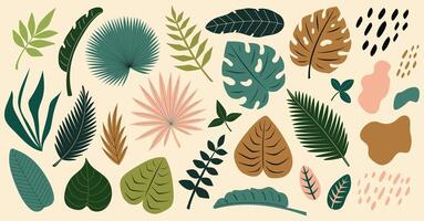 Tropical leaves set. Abstract exotic elements. Monstera, banana tree, palm leaves. Flat illustration isolated on beige background vector