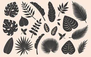 Tropical leaves set. Abstract foliage elements in silhouettes. Monstera, banana tree, palm leaves. Flat illustration isolated on beige background vector