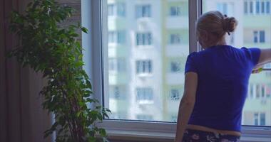 hus rengöring. en blond flicka tvättar fönster i ett lägenhet med en särskild mopp video