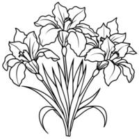 Iris Flower Bouquet outline illustration coloring book page design, Iris Flower Bouquet black and white line art drawing coloring book pages for children and adults vector