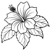Hibiscus flower plant illustration coloring book page design, Hibiscus Hibiscus flower plant and white line art drawing coloring book pages for children and adults vector