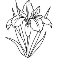 Iris flower plant outline illustration coloring book page design, Iris flower plant black and white line art drawing coloring book pages for children and adults vector
