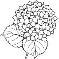 hortensia flor planta contorno ilustración colorante libro página diseño, hortensia flor planta negro y blanco línea Arte dibujo colorante libro paginas para niños y adultos vector