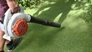 cordless foglia soffiatori. palmare, senza fili, elettrico foglia ventilatore nel un' giardino, selettivo messa a fuoco. autunno, autunno giardinaggio lavori nel un' Giardino dietro la casa, su un' prato, erba. giardino lavori. video